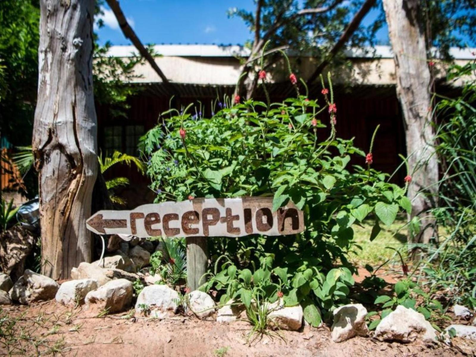 Nxabii Cottages Kasane Exterior foto
